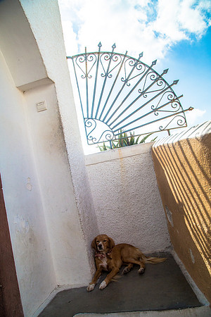 100414Santorini-214